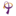 至支